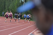 Enlarge photo 385