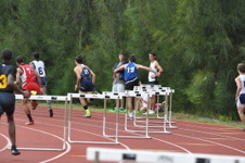 Enlarge photo 482