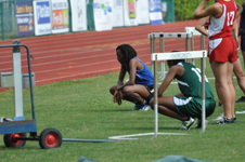 Enlarge photo 491