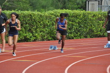 Enlarge photo 499