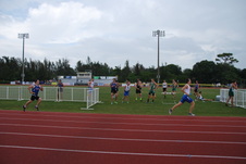 Enlarge photo 529