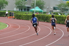 Enlarge photo 531