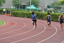 Enlarge photo 533