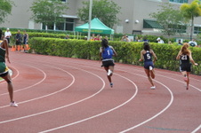 Enlarge photo 534