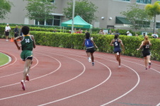 Enlarge photo 536