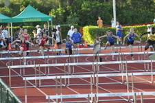 Enlarge photo 553