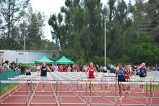 Enlarge photo 612