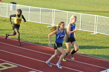 Enlarge photo 619