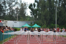 Enlarge photo 628