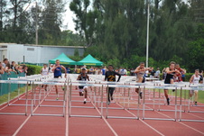 Enlarge photo 634