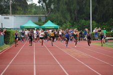 Enlarge photo 633