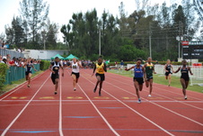 Enlarge photo 638