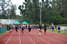 Enlarge photo 647