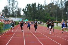 Enlarge photo 651