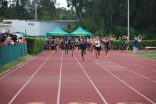 Enlarge photo 667