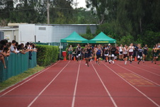 Enlarge photo 674
