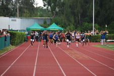 Enlarge photo 676