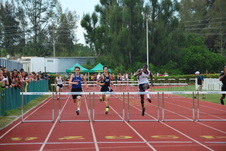 Enlarge photo 723