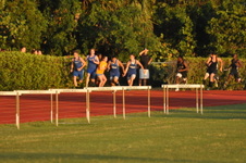 Enlarge photo 954