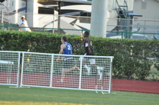 Enlarge photo 1019