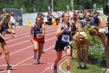 Enlarge photo 48