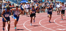 Enlarge photo 79
