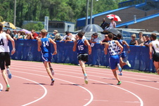 Enlarge photo 81