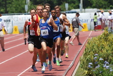 Enlarge photo 85