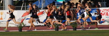 Enlarge photo 177