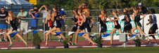 Enlarge photo 179