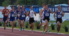 Enlarge photo 237