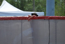 Enlarge photo 21