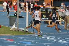 Enlarge photo 51