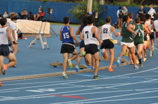 Enlarge photo 60