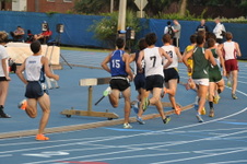 Enlarge photo 62