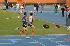 Enlarge photo 111