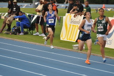 Enlarge photo 137