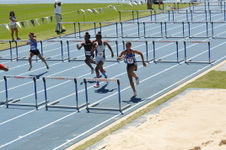 Enlarge photo 176