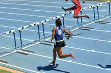 Enlarge photo 209