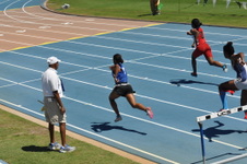Enlarge photo 219