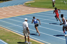 Enlarge photo 217