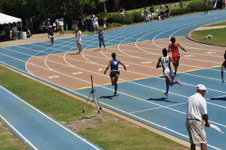 Enlarge photo 224