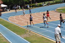 Enlarge photo 225