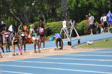 Enlarge photo 229