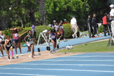 Enlarge photo 237
