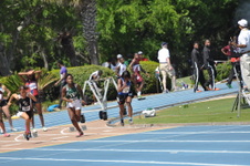 Enlarge photo 238