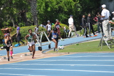 Enlarge photo 239