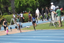 Enlarge photo 240