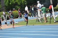 Enlarge photo 242