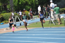 Enlarge photo 243